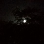 و باز هم تصویری از ماه درخشان شهر 