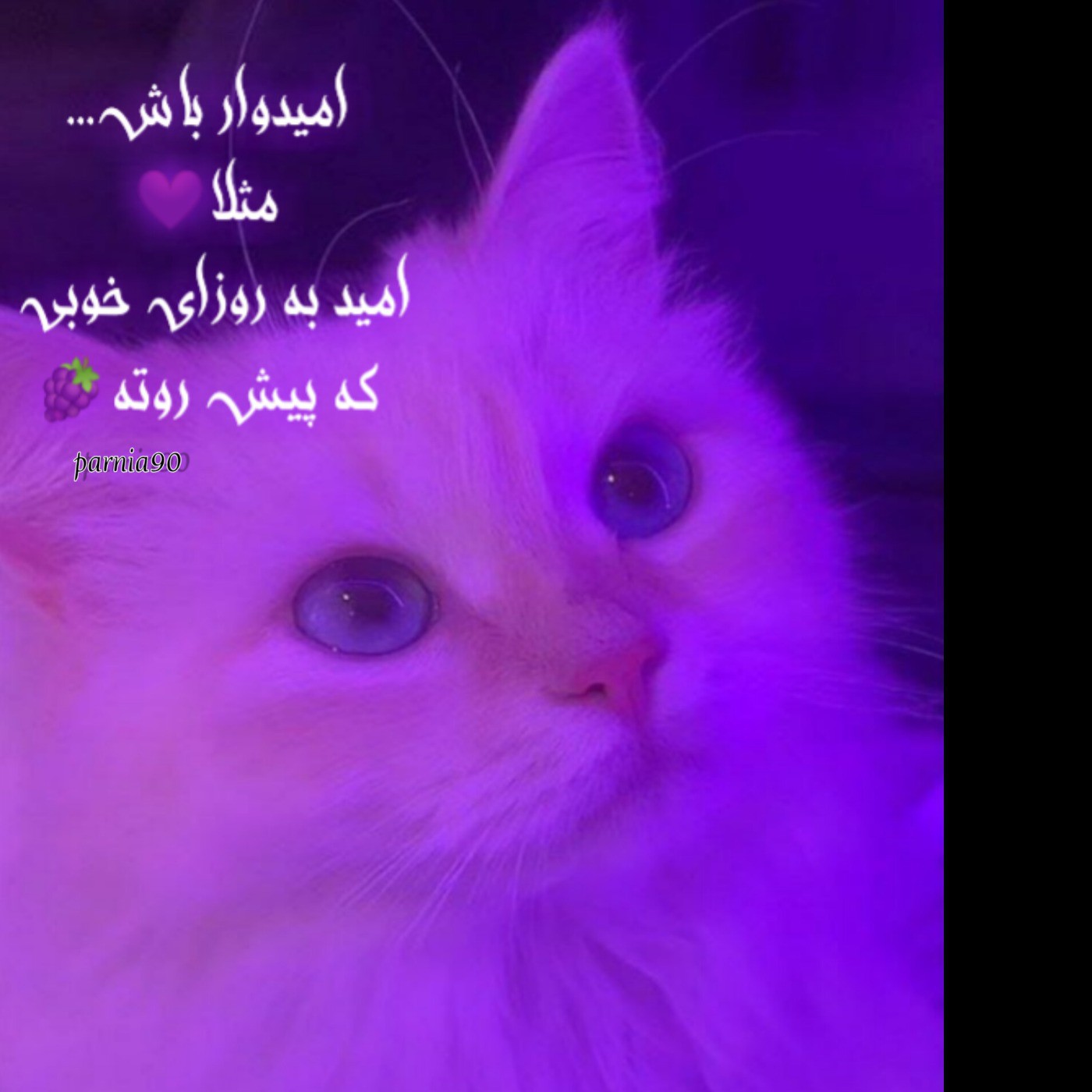 امید داشته باش شاید فردا یه روز خوب برات باشه💗