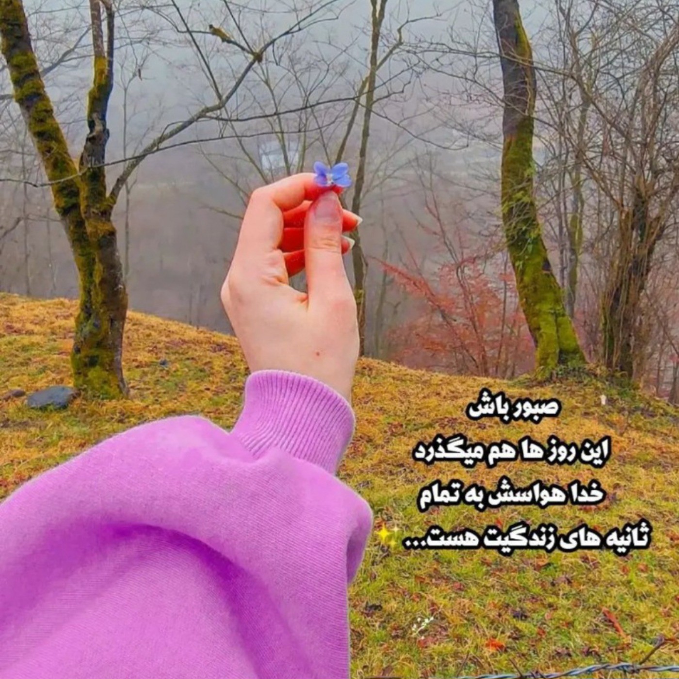 پست طبیعت هنری عکس نوشته برای امیدواری