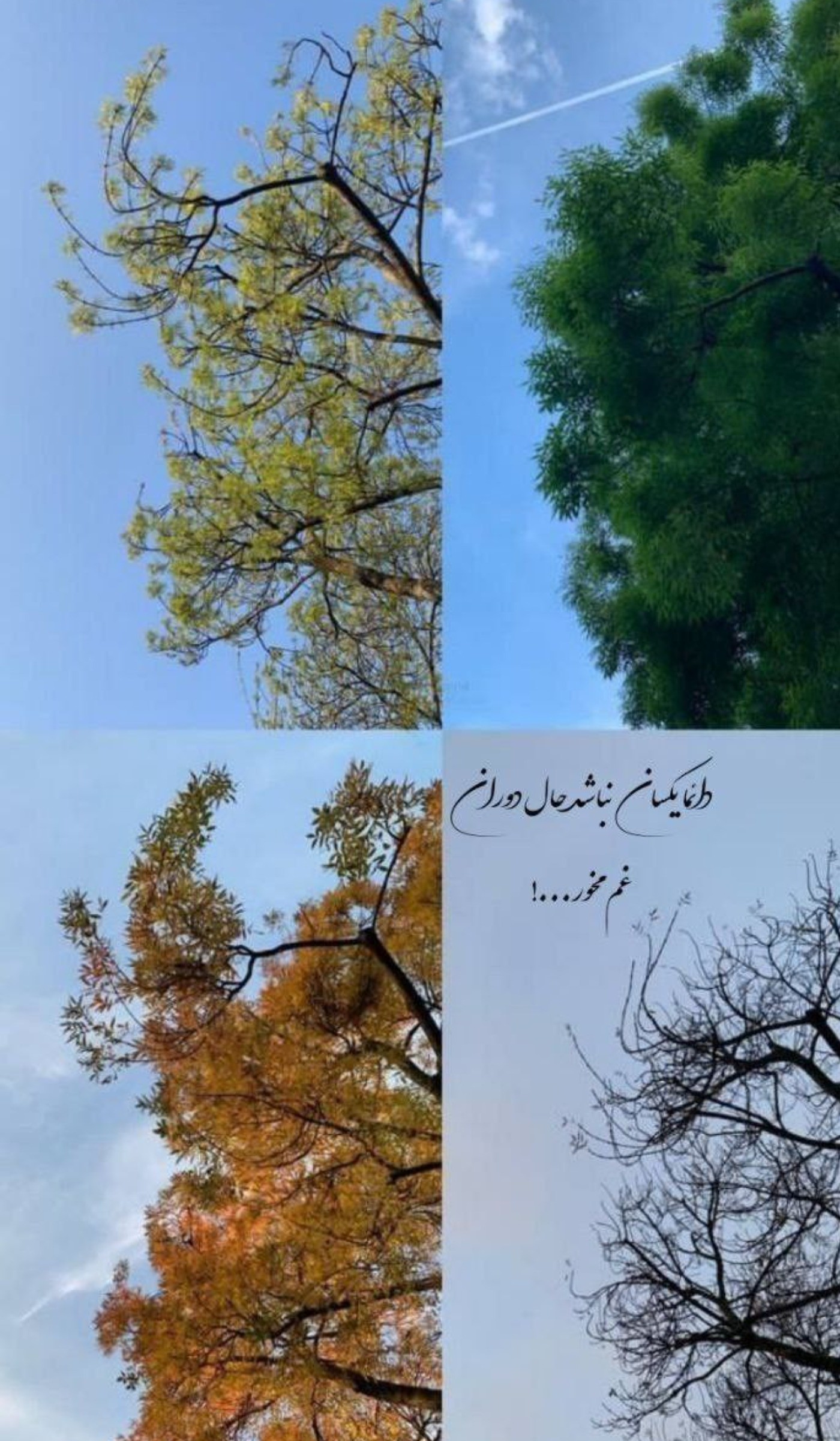 "دائما یکسان نباشد حال دوران ، غم مخور🩷" •🦋•