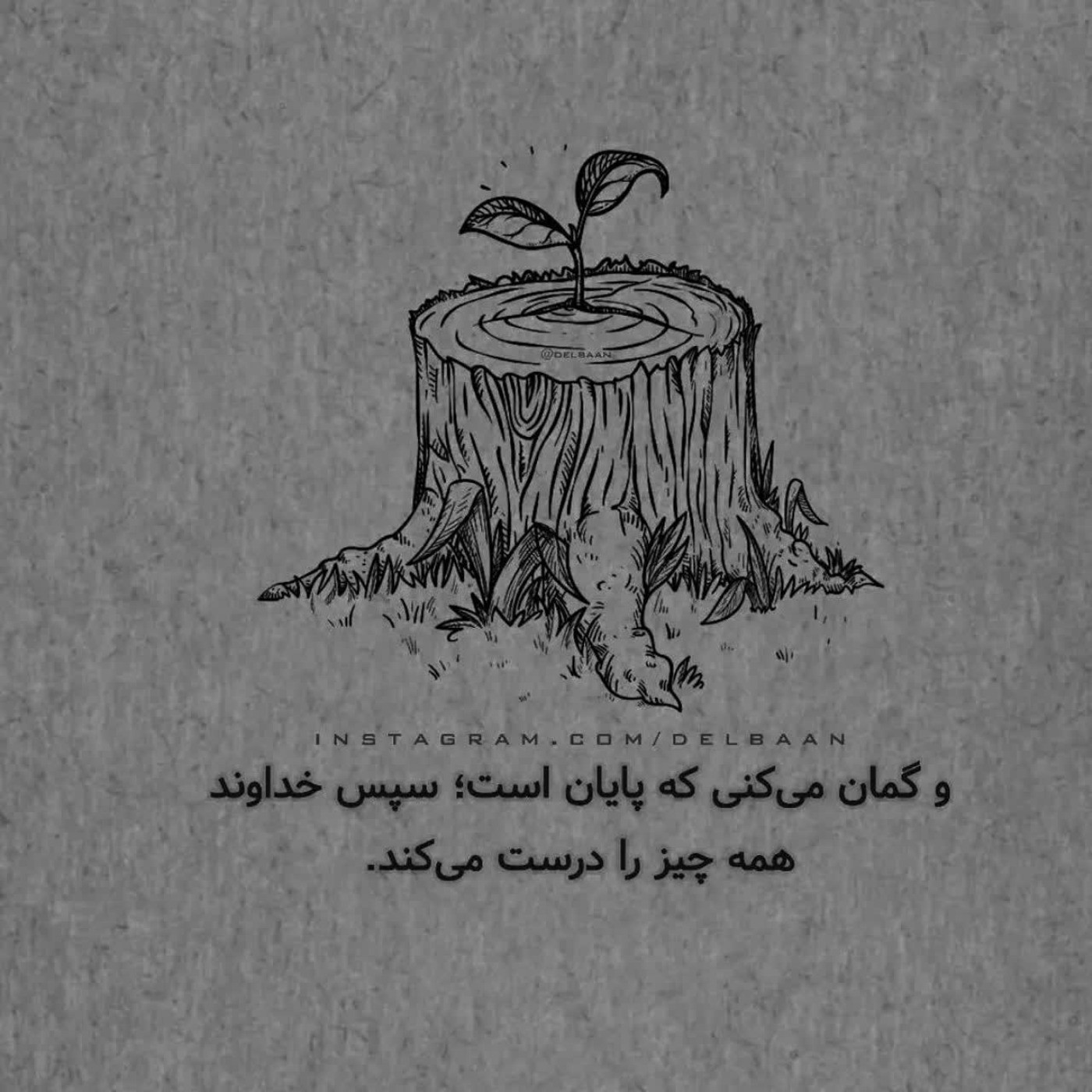 ــــــــــــــــــــــــــــــ🖤🤍