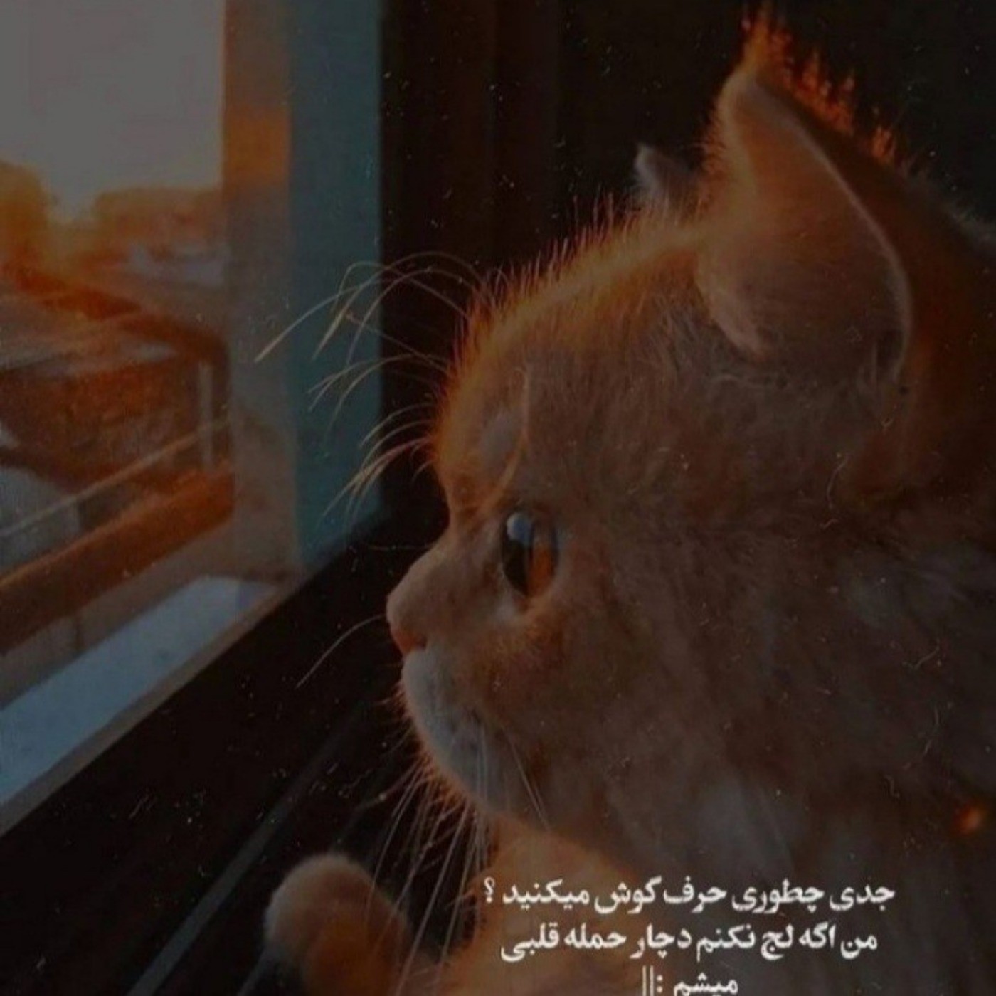 واقعاااااااااا چراااااا اخه:/ ؟؟؟؟؟؟