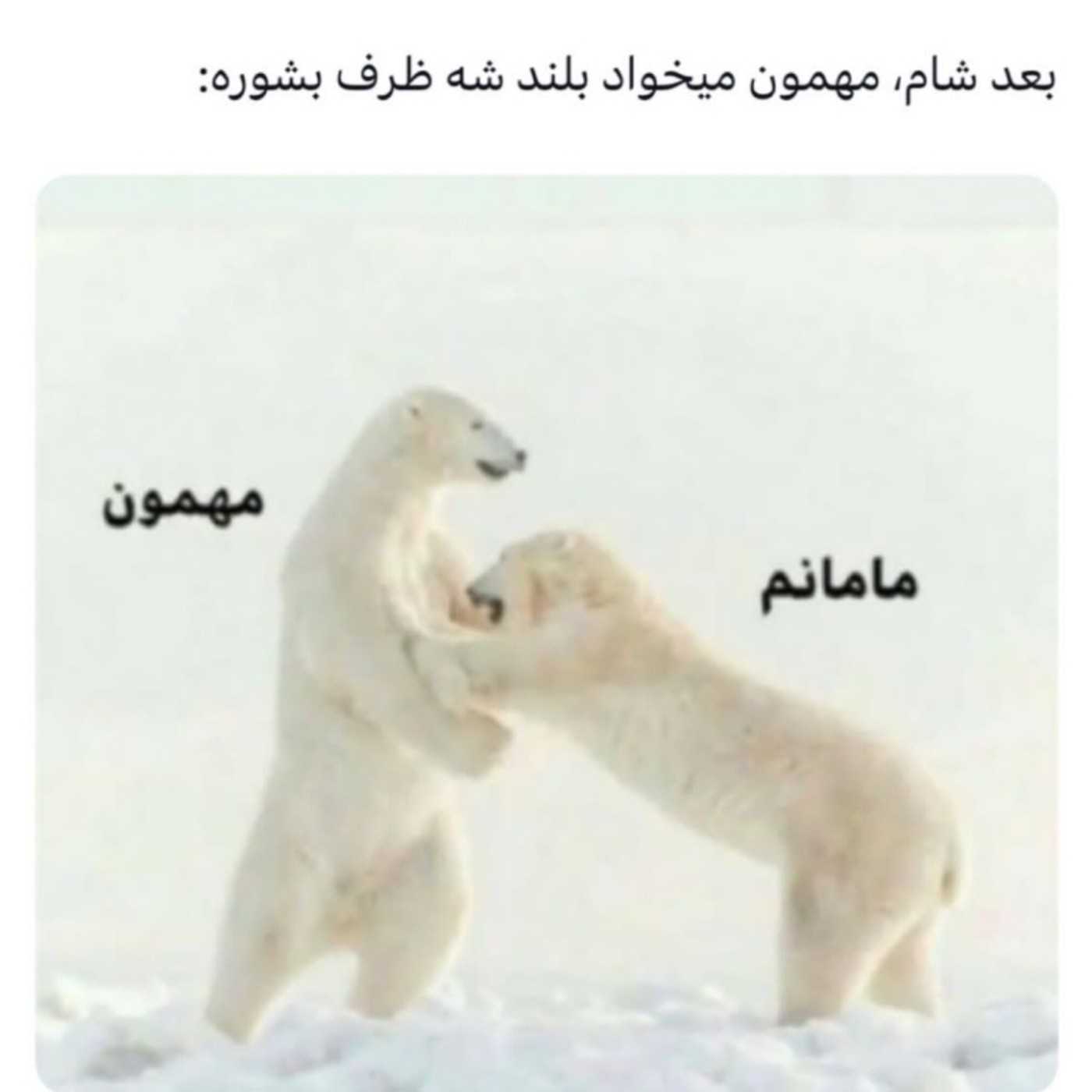 حق تا ابد😂😂😂 .. . . . . . . . 