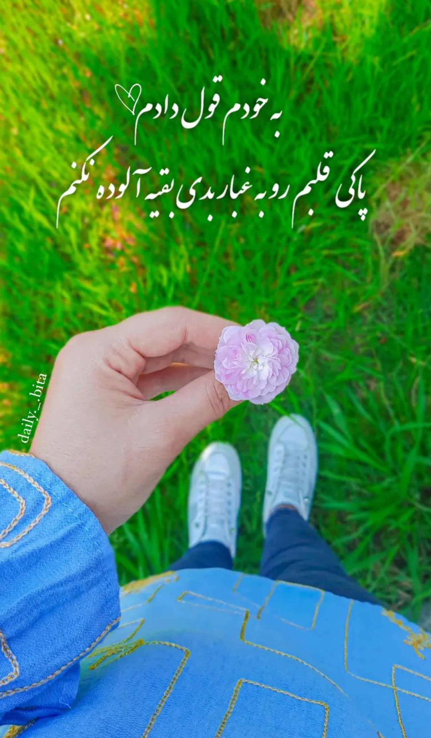 طبیعت. گل. گیاه. هنر. زیبا. 