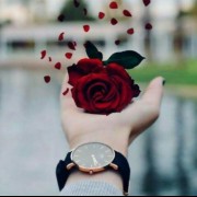 وقتی قلبت مثل یک گل تو دستت پرپر میشه حرفی .....