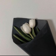 عکس برای پروفایل گل سیاه سفید.
