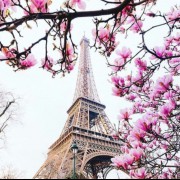 تصویری از برج ایفل در پاریس ♡♡