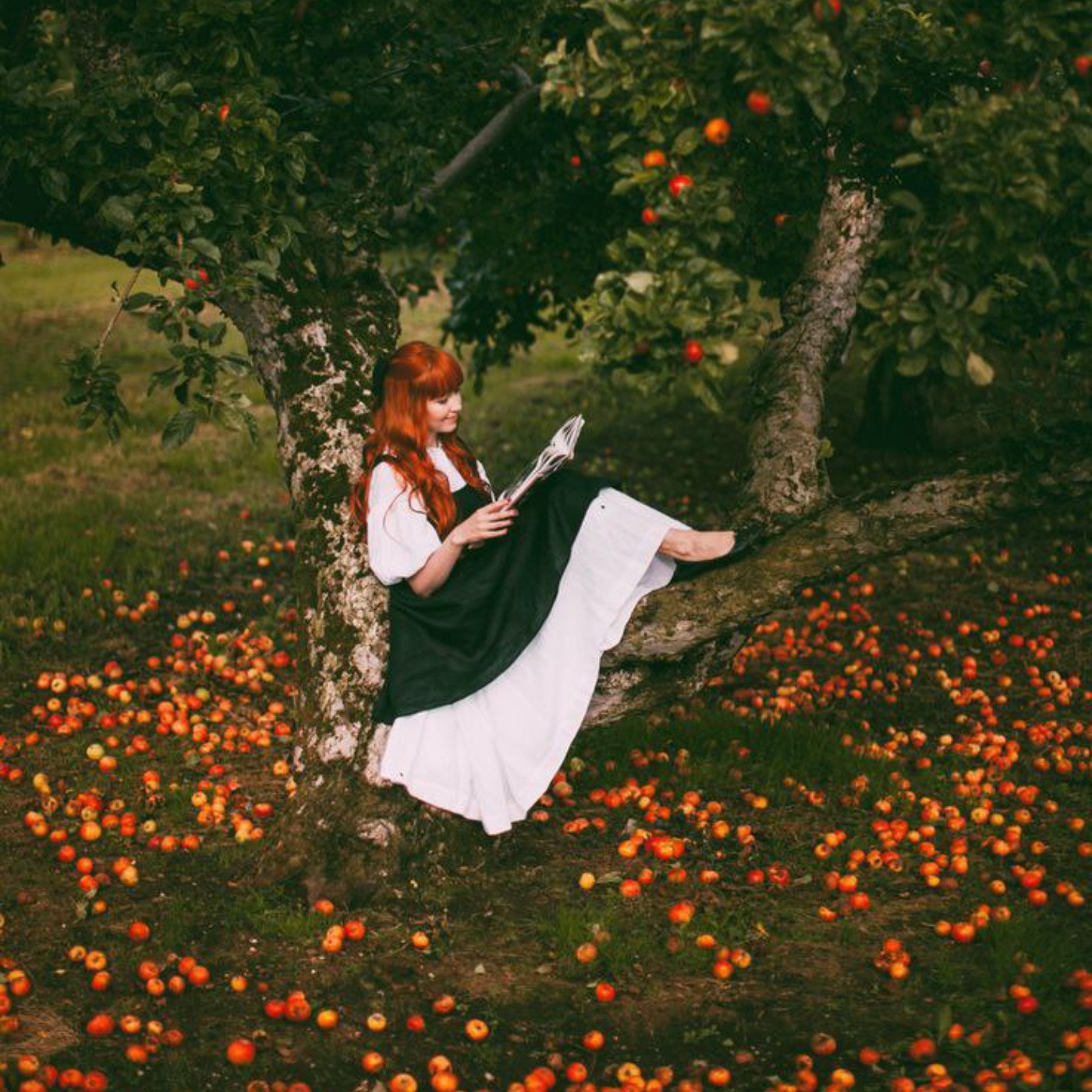 عکس دختر در طبیعت مو حنایی درخت سیب