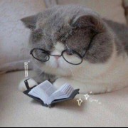 پروفایل گربه کتابخون عینکی طوسی