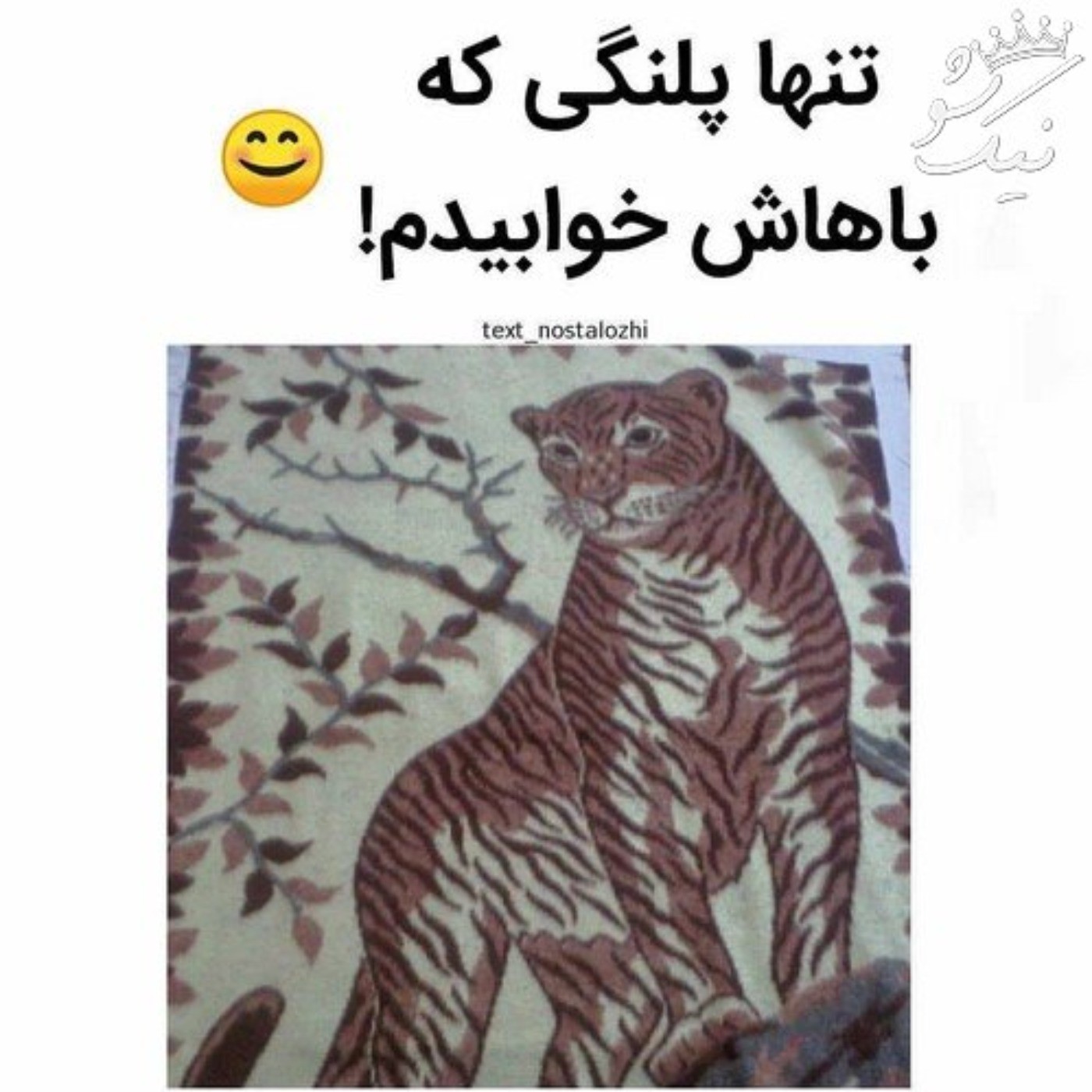 تنها پلنگی که باهاش خوابیدم : ‌