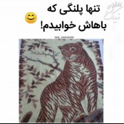 تنها پلنگی که باهاش خوابیدم : ‌