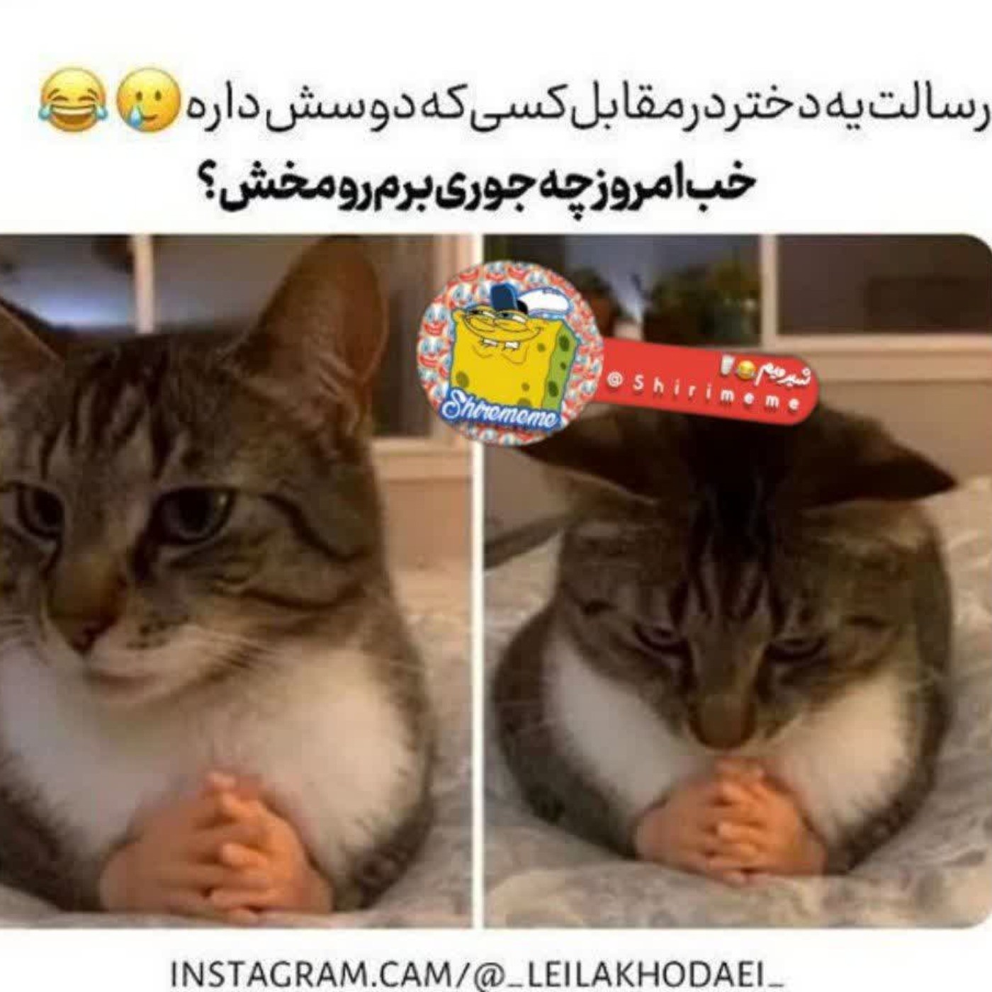 شتتتت دقیقااا😂😂‌‌‌‌‌‌‌‌‌‌‌‌‌‌‌