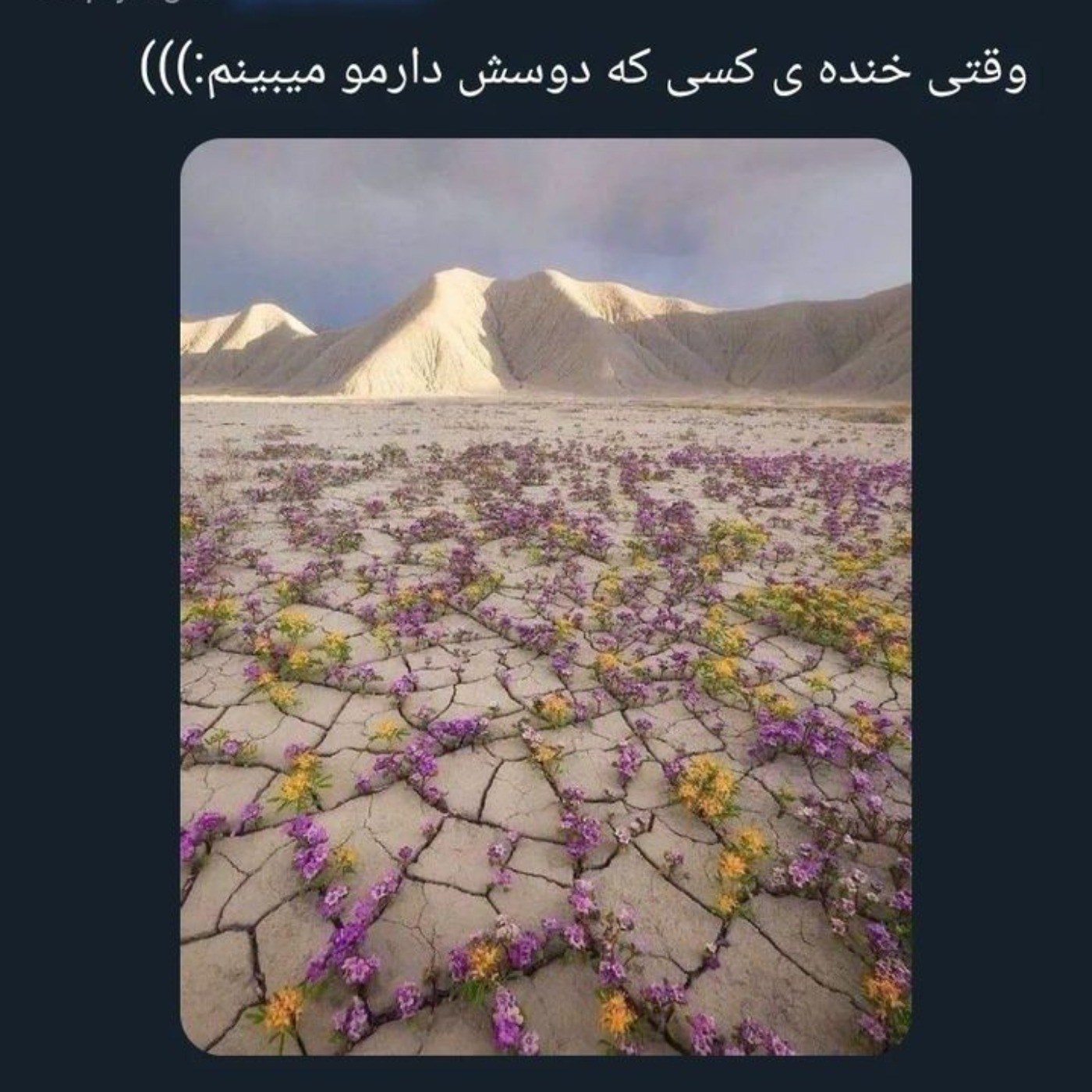 مثلا یهو بیای و گلبم گل گلی شع🥺🥀