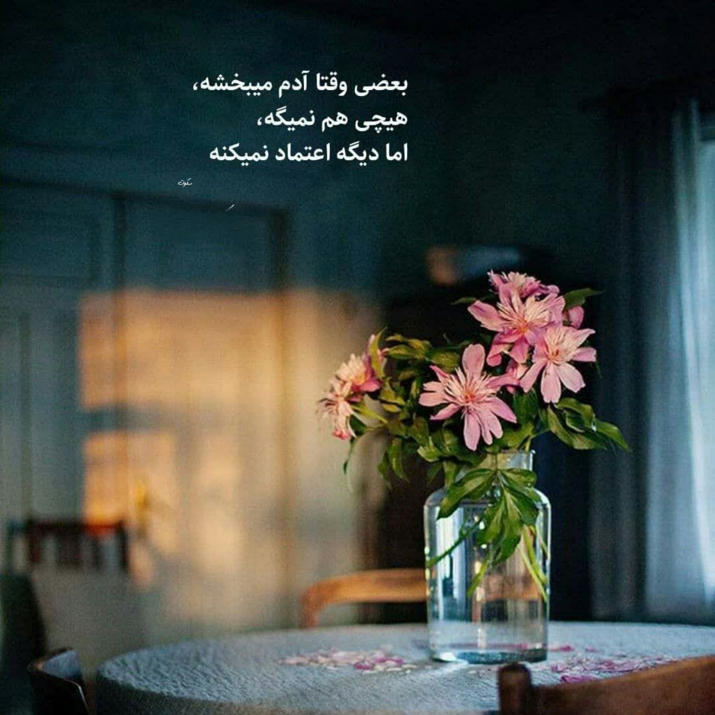 چقدر حقه... . 