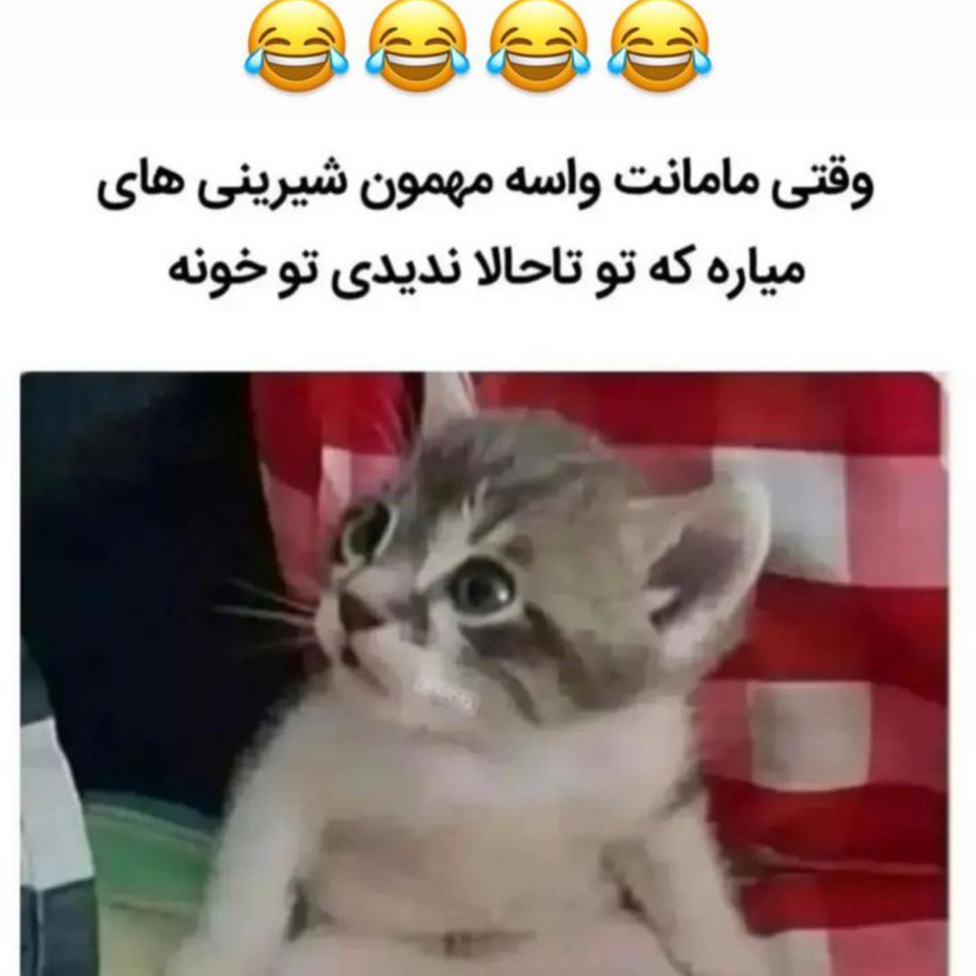 این دیگه از حق گذشته🤣😔‌‌‌‌‌‌‌