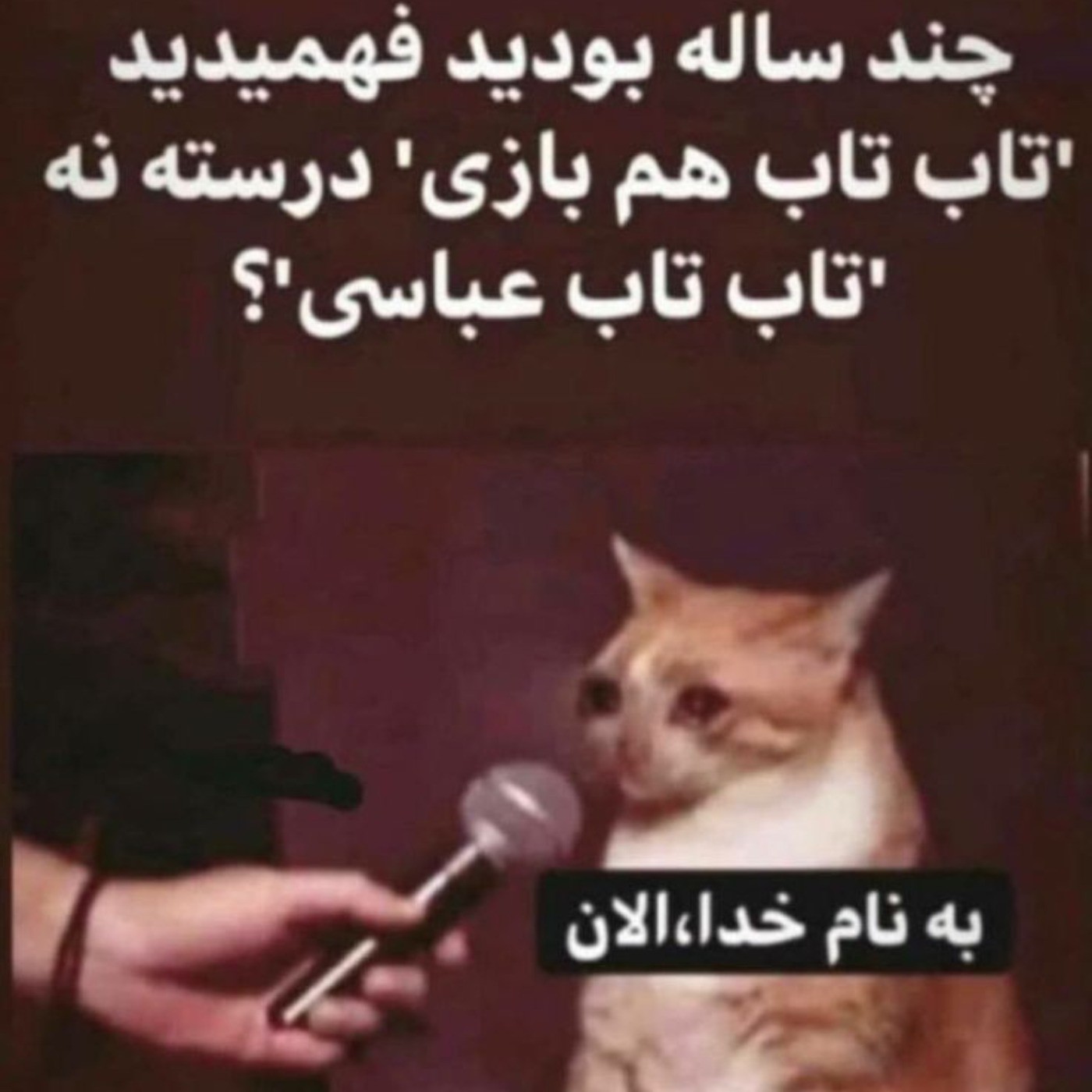 کیا الان فهمیدن؟ 😂😂😂😂🔥...