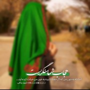 حجاب شما سنگریست 🌱 #شهید پناهی