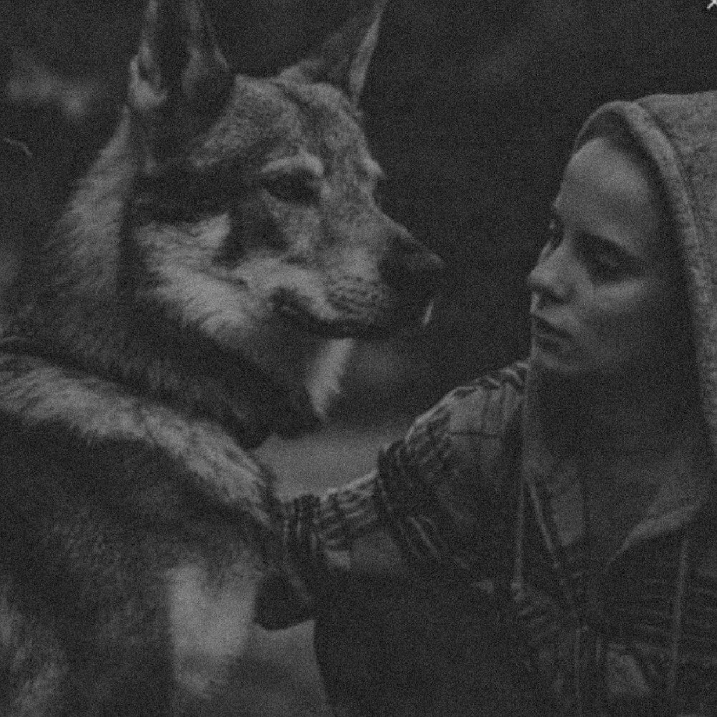 #𝑃𝑟𝑜𝑓𝑖𝑙𝑒🌑🐺 