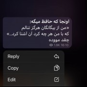 فقط اونجایی که حافظ میگه : خیلی موده لامصب