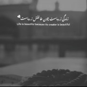 💯دل بکن تا جون نکنی❤حَسْبُنَا الله‌ وَ نعْمَ‌ الْوَکیٖلْ❤ 