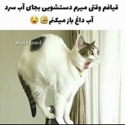 نخنده داره نه دلم تنگه حتی واسه آب سسسسسسسرد دست شویی