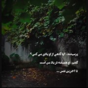 زیبایی عشق تا آخر دنیا ادامه دارد