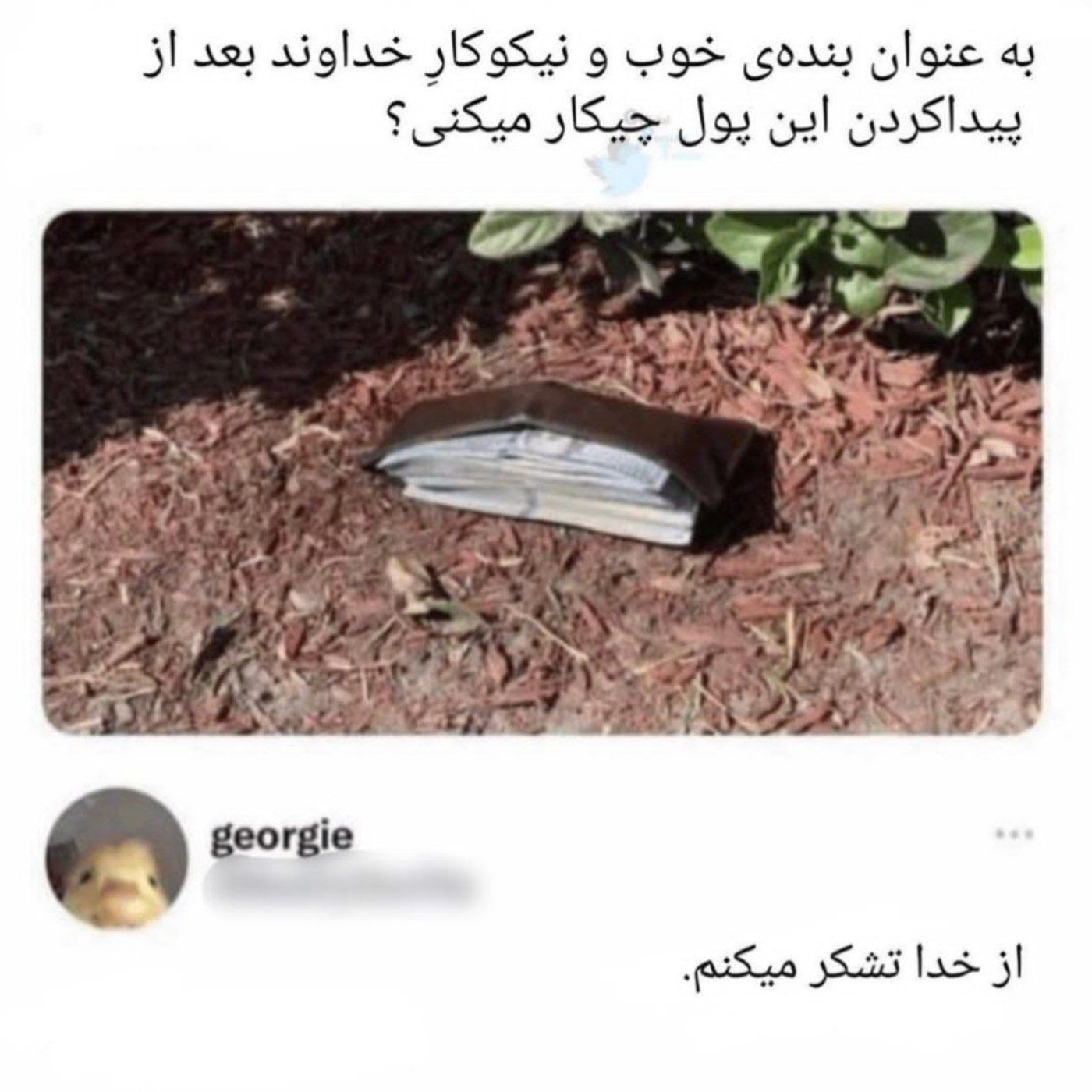 موافقم.........................