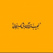 نجیب تـر از آن بـاش که برنجانی