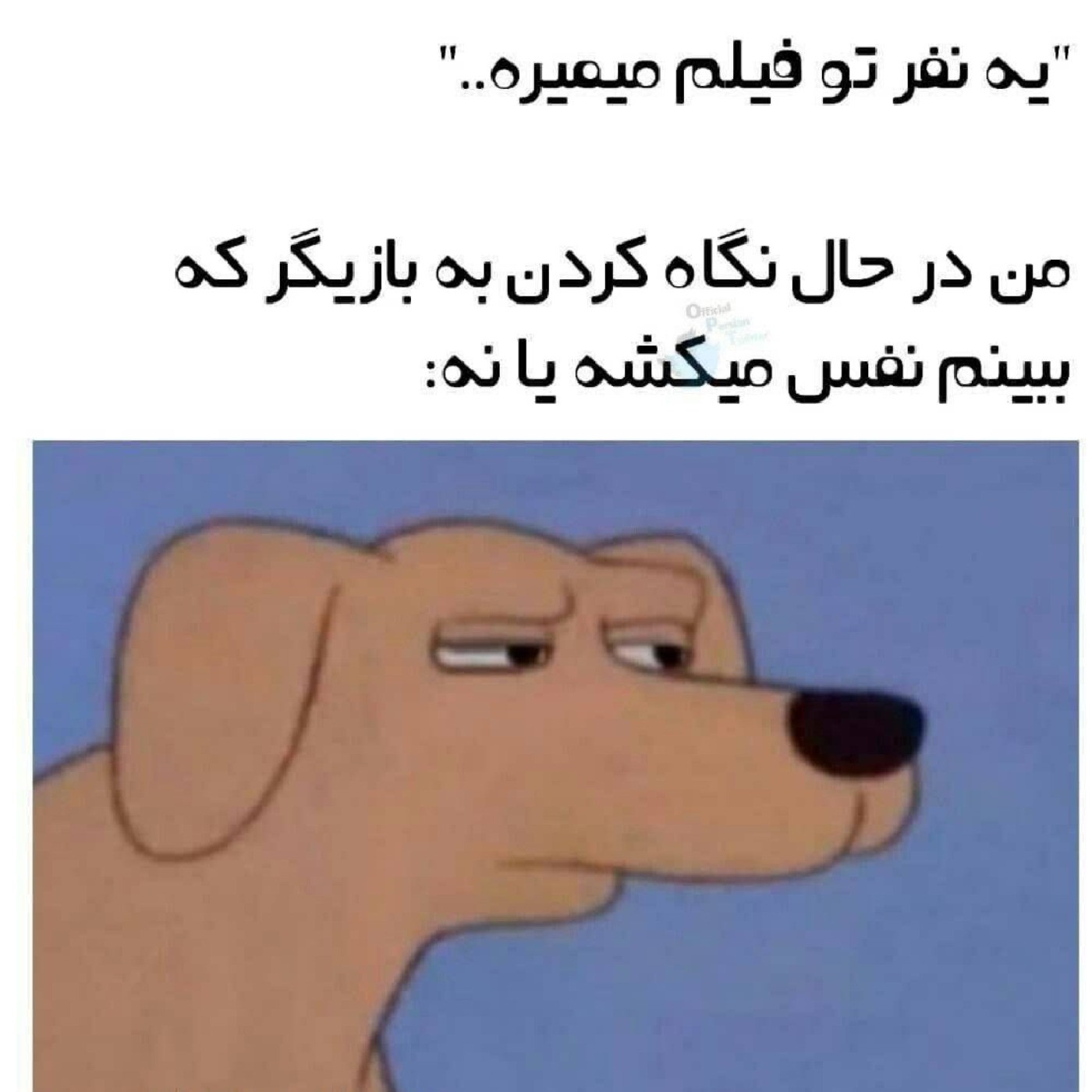 ناموسن همه همینن مطمئنم.😂😂😂