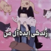 زندگی ایده آل من 🐈‍⬛🌚...... 