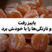 هعییی...... .