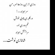 نوشته راجی عشق یک‌طرفه.........☘️🖤