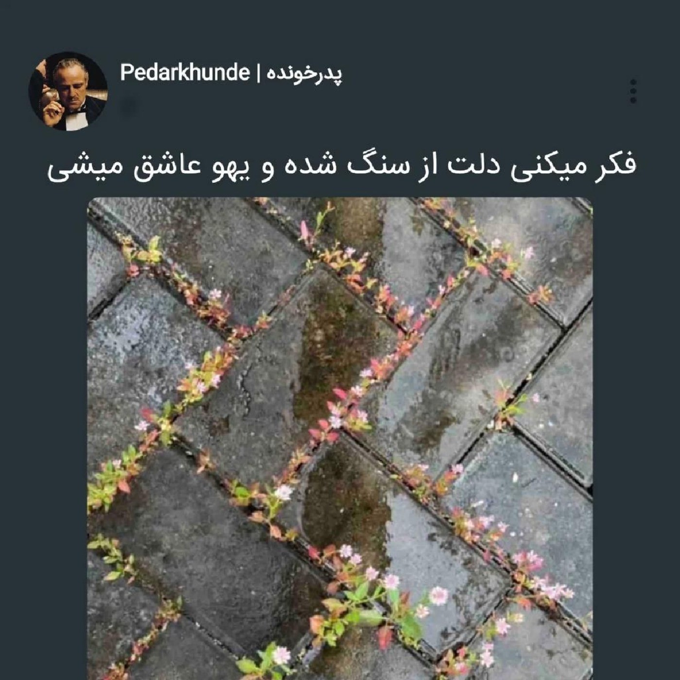 کاری که باید بادلم کنی: چون جور دیگع نمیشع😊🗿