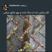 کاری که باید بادلم کنی: چون جور دیگع نمیشع😊🗿