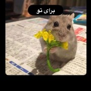 نالاحت میشمااا اگر گلو قبول نتونی