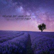 این حقیقته .........؟............