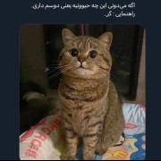 بچه ی منه فالوش نکنی خری کامنت بزار یزره