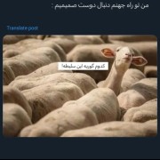 خخخ منی ک تو جهنم دنبال رفیقم میگردم🤣