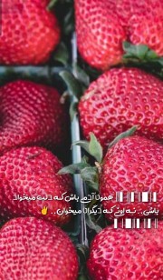 استوری عکس نوشته برای یک مناسبت خاص